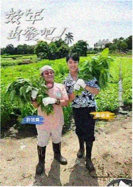 番茄影音综艺 - 哈哈哈哈哈